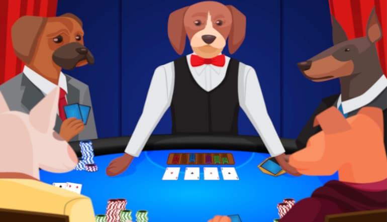Cani che giocano a poker