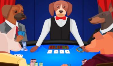 Cani che giocano a poker
